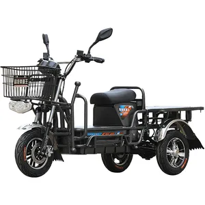 2022 Cargo king electric scooter 72V 96V 20Ah 45Ah water delivery cargo haul long-distance other electric motorcycles