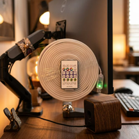 Rubans LED néon RGB en cuivre USB 5V IP67 5M, contrôle par application/télécommande, synchronisation musicale, intensité réglable, mode DIY, décoration pour salle de jeux