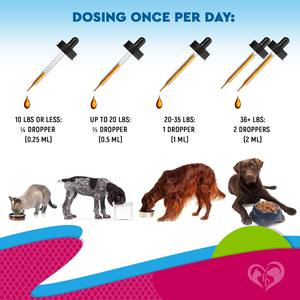 USMILE OEM ODM tetes kucing Uti pengobatan infeksi saluran urin perawatan Cranberry ekstrak cairan suplemen untuk kucing & anjing - Product Image 4