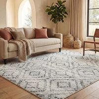 Grand tapis d'intérieur doux en polyester, personnalisable, lavable, antidérapant, pour une décoration intérieure résidentielle variée.