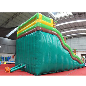 Tobogán Acuático Inflable Gigante Personalizado con Forma de Palmera Curva para Adultos, Tobogán Acuático Inflable de Doble Carril con Piscina - Product Image 2