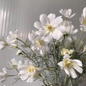 Fiore Artificiale Cosmos a Stelo Singolo per Decorazioni Floreali da Matrimonio e Casa - Product Image 3