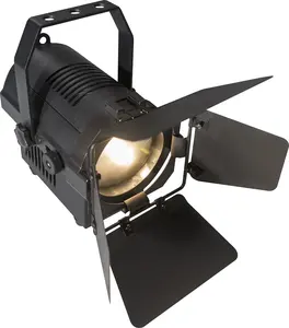 50W tunable WW&CW LED mini fresnel with barndoor 25- 80 degree manual zoom LED Live Stream Lighting exhibition light