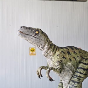 Costume de dinosaure <span class=keywords><strong>Velociraptor</strong></span> marchant populaire Zigong CET, design de pattes cachées, léger, tailles personnalisées, pour parcs d'aventure et écoles - Product Image 4