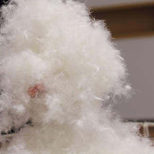 Haute qualité en gros 70% bonne puissance <span class=keywords><strong>de</strong></span> remplissage lavable en Machine USA Starand plume <span class=keywords><strong>de</strong></span> duvet <span class=keywords><strong>de</strong></span> <span class=keywords><strong>canard</strong></span> blanc naturel à vendre - Product Image 3