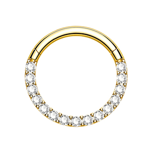 Offre Spéciale Anneau de <span class=keywords><strong>Piercing</strong></span> Articulé en Titane ASTM F136 avec Zircon pour Nez, Cartilage, Hélix, <span class=keywords><strong>Tragus</strong></span>, Lèvre - <span class=keywords><strong>Prix</strong></span> d'Usine Vente en Gros - Product Image 2
