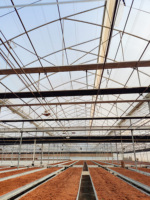 Invernadero Multi-Span con Techo de Plástico para Cultivo de Vegetales y Flores