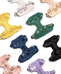 Kit de promenade pour animaux de compagnie en silicone PVC néoprène étanche de luxe avec logo personnalisé ensemble de harnais pour <span class=keywords><strong>chien</strong></span> ensemble de <span class=keywords><strong>laisse</strong></span> <span class=keywords><strong>et</strong></span> de colliers réglables en PVC souple pour <span class=keywords><strong>chien</strong></span> - Product Image 2