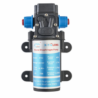 XTL 0142H2B-12V 45W 4L/M Pompe auto-amorçante avec pressostat Pompe à eau basse pression Petite pompe à reflux électrique à membrane DC