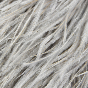 Fabbrica all'ingrosso <span class=keywords><strong>vestito</strong></span> decorativo donna <span class=keywords><strong>bianco</strong></span> grigio argento a buon mercato <span class=keywords><strong>piume</strong></span> di struzzo finiture per i vestiti - Product Image 2