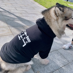 Sudadera con capucha de ashion para <span class=keywords><strong>cachorros</strong></span>, ropa para mascotas pequeñas, medianas y grandes - Product Image 2