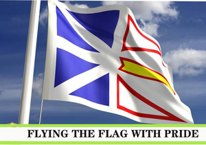 Producto promocional Bandera canadiense 3x5ft Exterior Doble cara Canadá <span class=keywords><strong>Terranova</strong></span> <span class=keywords><strong>y</strong></span> <span class=keywords><strong>Labrador</strong></span> Bandera - Product Image 4