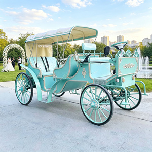 ZOWN Chariot à Chevaux Durable pour Visites Touristiques, Design Intérieur Humanisé pour Parcs, Sites Panoramiques, Spectacles et Expositions - Product Image 1