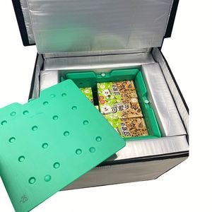 Hot-selling Ice Cream Transport Cold Box Ice-lolly Cooler Box <b>Container</b> for Food or <b>Wine</b> - Product Image 1