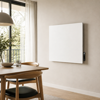 Chauffage infrarouge noir OEM/ODM écoénergétique pour intérieur haut de gamme, chaleur constante, fournisseur fiable en gros