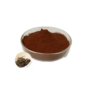 Pure Natural Black Tea Extract Powder With 30% Polyphenol Powder Black Tea Extract