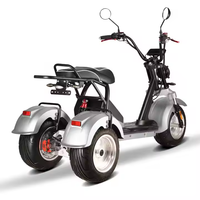 Tricycle Électrique Loyal à Trois Roues, Scooter Électrique, Vélo Électrique 4000W à Double Moteur