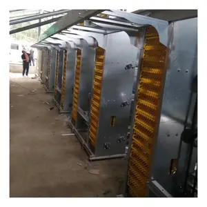 High Quality Automatic H Type Layer Battery Egg Chicken Cage for Poultry Farm
