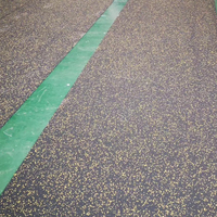 Baldosas de caucho EPDM rígido para gimnasios con absorción de impactos antideslizante para uso en gimnasios y campos de tiro