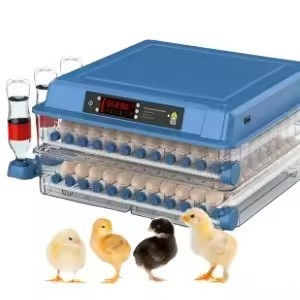 Incubateur d'œufs automatique à double alimentation pour élevage avicole, capacité de 130 œufs, incubateur d'œufs automatique pour volailles - Product Image 3