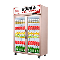 Réfrigérateur commercial vertical à porte vitrée pour supermarché, 2 portes, pour boissons