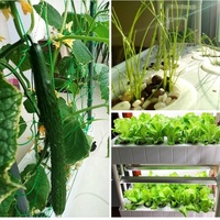 Système hydroponique vertical intelligent pour la maison, 56 trous, en plastique ABS, auto-arrosant, écologique, léger, pour la culture de légumes à feuilles
