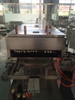 L'industrie de haute qualité personnalisée entièrement automatique Bmg Type Machine de pasteurisation Tunnel d'aliments en conserve