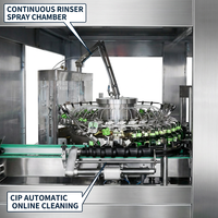 Machine de production de remplissage et de bouchage automatique rotative à grande vitesse pour bouteilles en PET et en verre, eau pure et minérale
