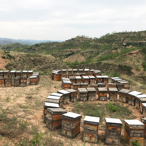 <span class=keywords><strong>Mad</strong></span> <span class=keywords><strong>Honey</strong></span>, miel brut en nid d'abeille, approvisionnement en usine, vente en gros, Miel Honig, édulcorant - Product Image 4