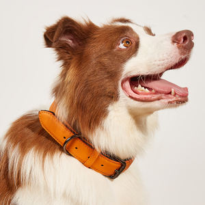 Hete Aanbieding MHC Kauwbestendige Lederen Hondentuig - Volnerf Runderleer Verdikt voor Actieve Honden - Product Image 1