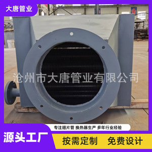 Condenseur de gaz de combustion, échangeur de chaleur indirect, économiseur de chaudière personnalisable de l'industrie des tuyaux Datang - Product Image 3