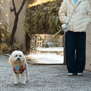 Laisse multifonctionnelle pour chien de 1,3 mètre avec bouteille d'<span class=keywords><strong>eau</strong></span> de 200 ml, sangle bandoulière, <span class=keywords><strong>porte</strong></span>-sac portable pour nourriture et déchets pour les voyages avec animaux de compagnie - Product Image 1