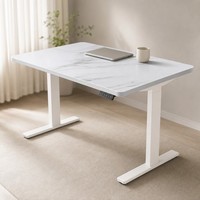Table de travail électrique silencieuse en bois AOR, réglable en hauteur, pour position assise ou debout, bureau d'ordinateur extensible, couleur personnalisable, facile à assembler