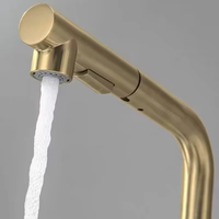Robinet de cuisine monocommande haut de gamme en acier inoxydable brossé, à montage sur plan, avec douchette extractible, pour usage commercial