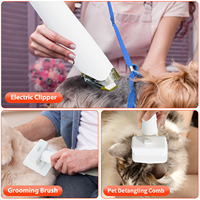 Kit de toilettage pour animaux 10 en 1, aspirateur silencieux, sèche-cheveux pour chiens et chats, souffleur, machine d'aspiration, vente en gros d'usine, logo personnalisé OEM
