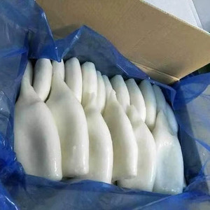 Tubes de calmar surgelés IQF 22-28cm, nettoyés, sans peau, boîte de 10kg, certifiés HACCP, vente en gros, exportation, marché des fruits de mer méditerranéens - Product Image 1