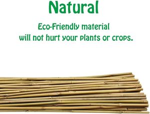 Treillis en bambou naturel pour plantes grimpantes - Support miniature de 60 cm pour plantes en <span class=keywords><strong>pot</strong></span>, vigne, lierre et fleurs - Product Image 3