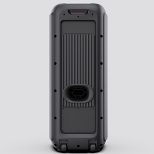 ลำโพงคู่8นิ้วแบบลากกล่องใส่ฟันสีฟ้า1000 KTV คาราโอเกะพร้อม dicho ไฟ LED ลำโพงปาร์ตี้ดีไซน์ใหม่ - Product Image 6