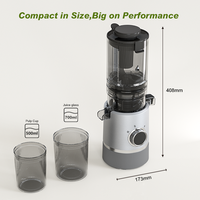 Extracteur de jus de haute qualité, machine à jus lent avec récipient à pulpe de 700 ml