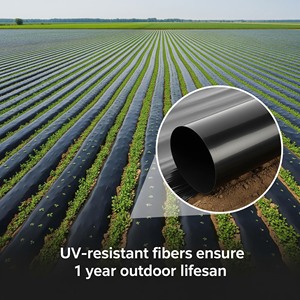 Film per Pacciamatura Agricola in Plastica Nera 20 Micron, Controllo Erbacce, Copertura del Terreno in PE - Product Image 1