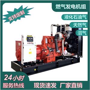 Generador de Gas para Hombre, Motor de 100kW, Equipo de Energía Industrial Rojo - Product Image 2