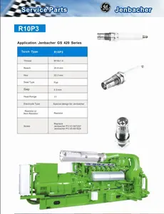 P3/462199/462203/401824/639753/639754/347257 Industrial Spark Plug For Generators