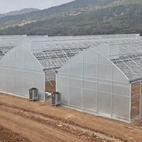 Serre agricole à toit en dents de scie à faible coût avec une bonne ventilation naturelle, kit complet pour légumes