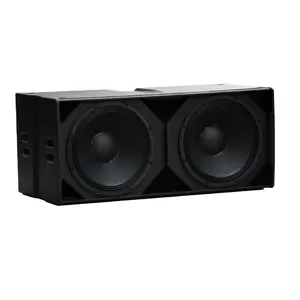 Self Powewred Single 18 inch Professional Audio Line Array Speakers With Audio Dsp Module