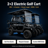 Carrito de Golf Eléctrico Tarion de 4 Plazas, Batería de Litio de 72V, Homologado para Calle, 35 km/h, Certificado CE/DOT, Autonomía de 90 km, Personalizable OEM 2+2