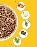 Poudre d'algues/varech de qualité alimentaire extrait naturel de plantes riches en minéraux océaniques pour aliments et suppléments