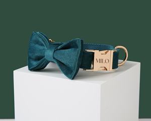 Conjunto de pajarita y correa verde azulado, Collar de cachorro Veet grueso, nombre personalizado grabado gratis, Collar personalizado para niño perro - Product Image 1