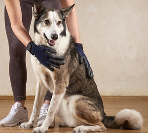 Horshi Stock Guantes de aseo de caballos de gran tamaño Manoplas diarias para eliminar <span class=keywords><strong>el</strong></span> pelo de mascotas para <span class=keywords><strong>baño</strong></span> suave Deshedding Masaje Caballos Gatos Perro - Product Image 3