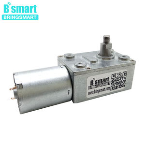 <span class=keywords><strong>Motor</strong></span> de CC de Engranaje Helicoidal de Baja Velocidad y Alto Torque Bringsmart SRY-370-M5 con Eje de Salida Roscado de 8 mm, 12v 24v para <span class=keywords><strong>Motor</strong></span> de Campana Extractora - Product Image 4