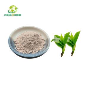 Poudre naturelle en vrac de gallate 94% Egcg d'épigallocatéchine d'extrait de thé vert - Product Image 1